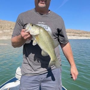 Meet your Posher, Garrett